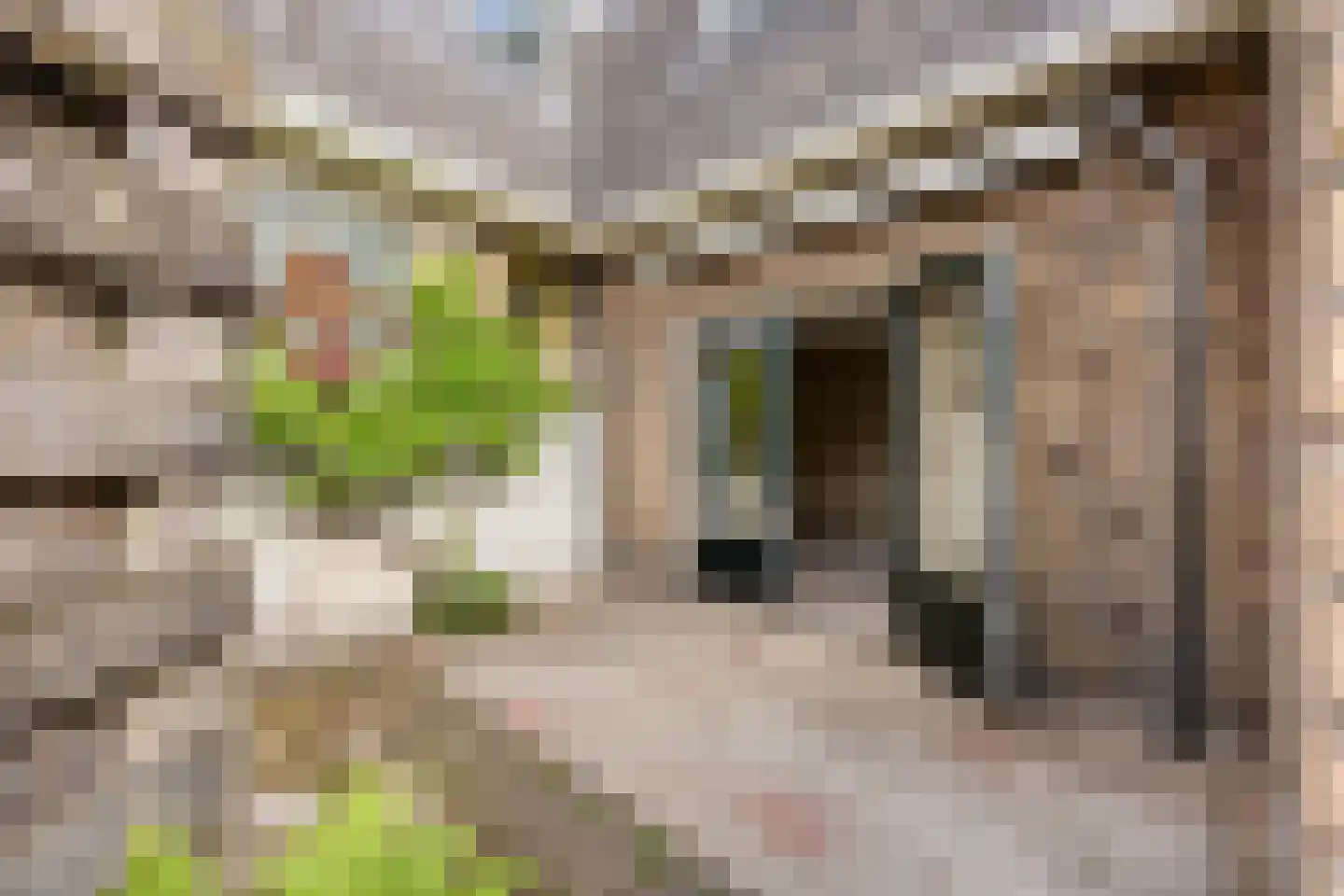 Zandvoortselaan 226 Bentveld thumbnail 11