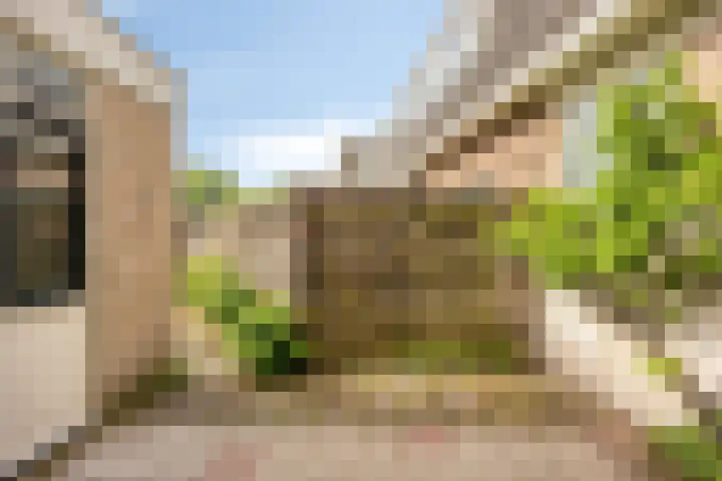 Zandvoortselaan 226 Bentveld thumbnail 12
