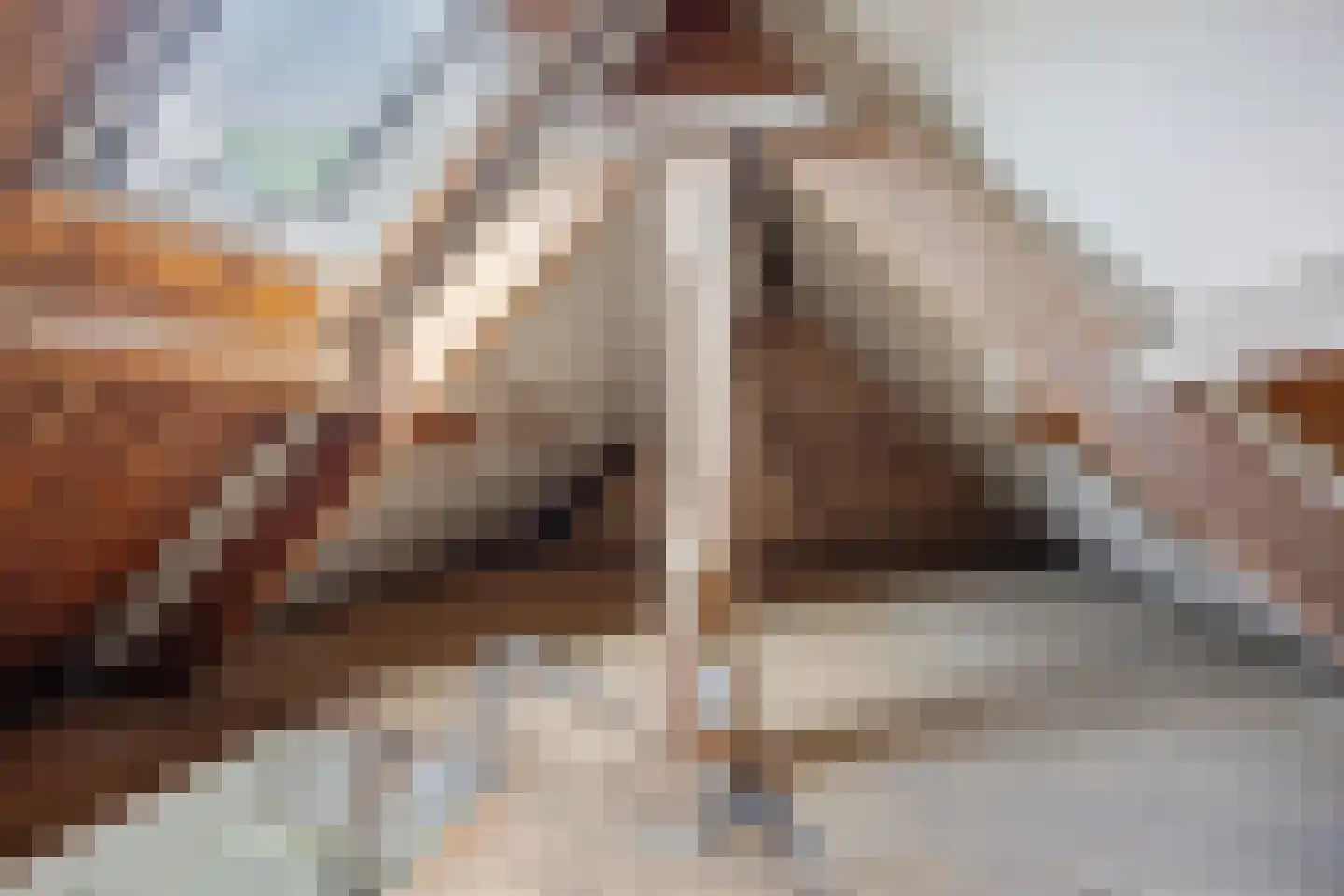 Zandvoortselaan 226 Bentveld thumbnail 22