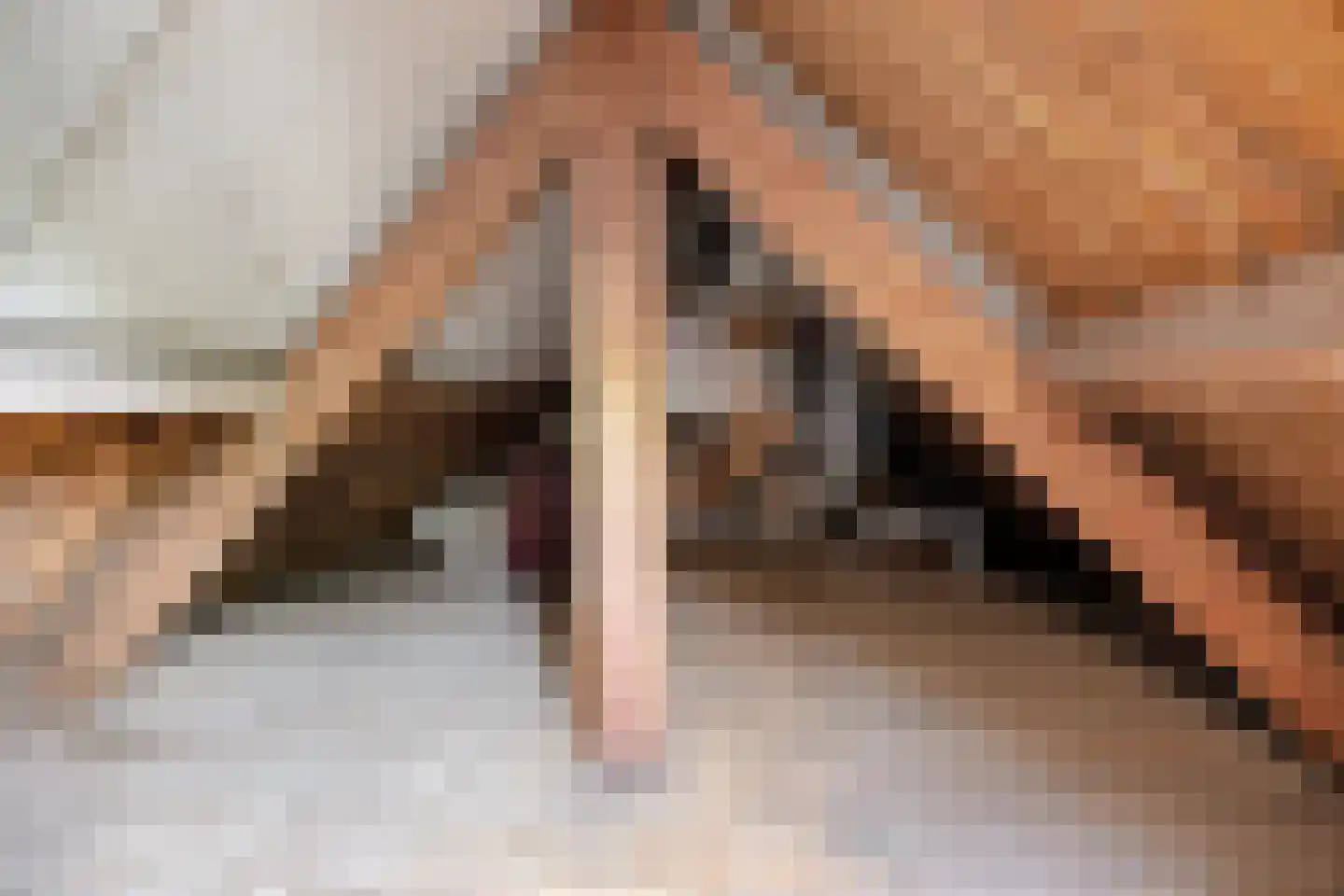 Zandvoortselaan 226 Bentveld thumbnail 23