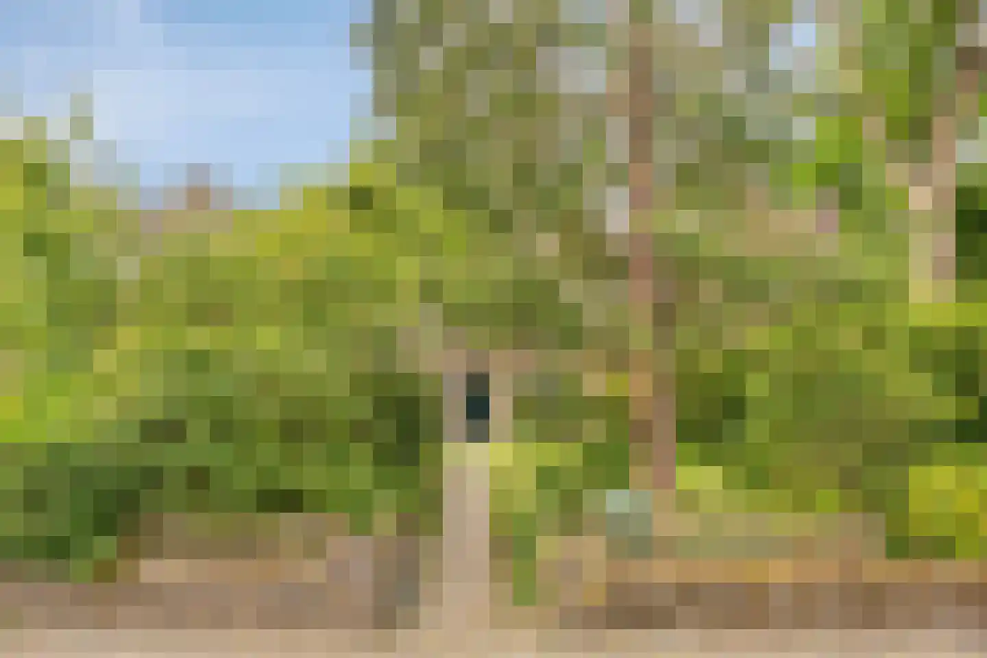 Zandvoortselaan 226 Bentveld thumbnail 25