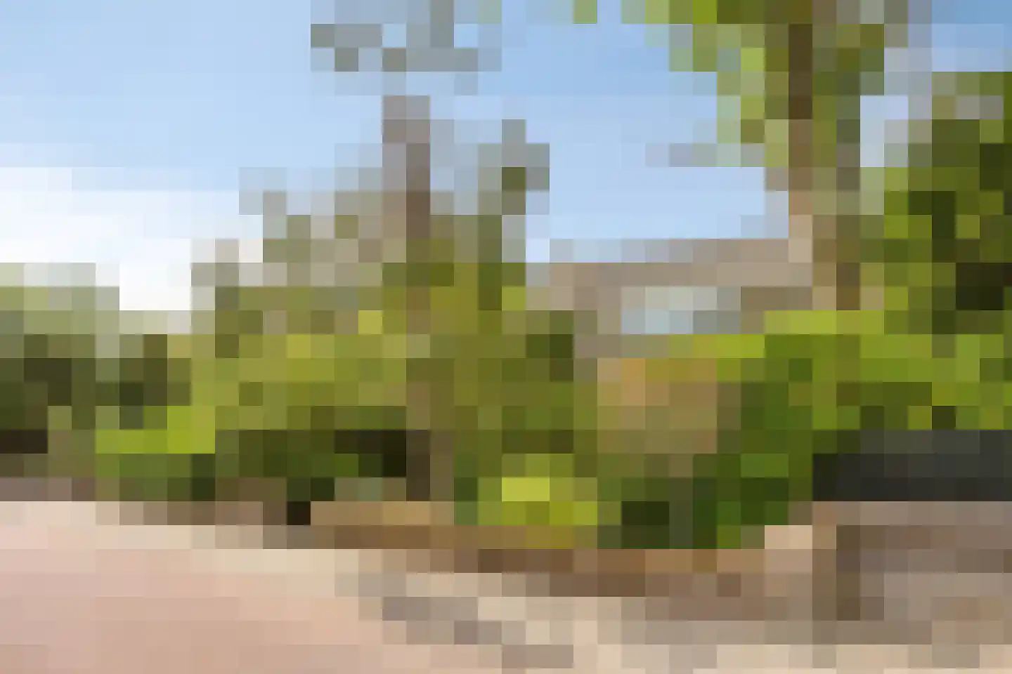 Zandvoortselaan 226 Bentveld thumbnail 26