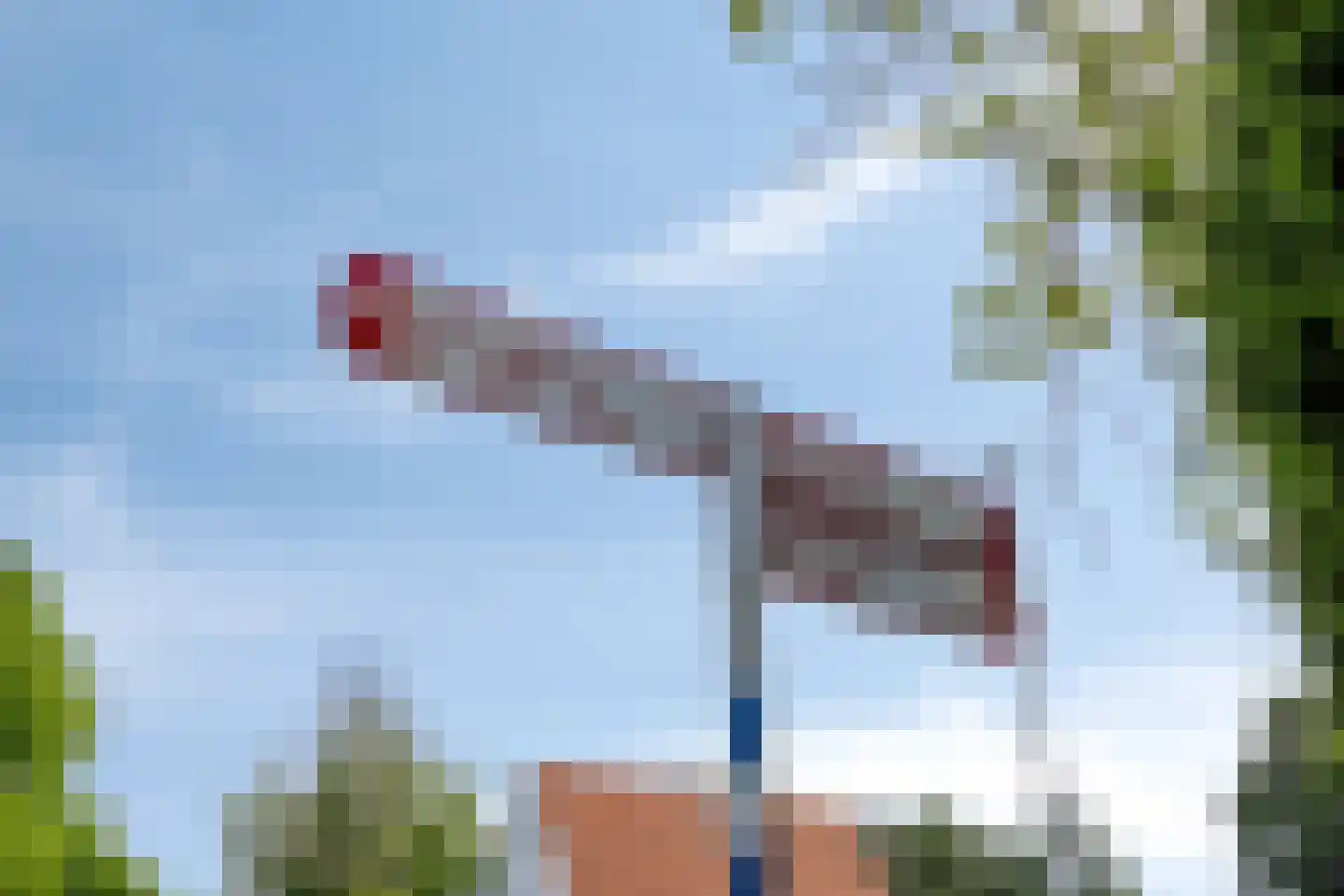 Zandvoortselaan 226 Bentveld thumbnail 31