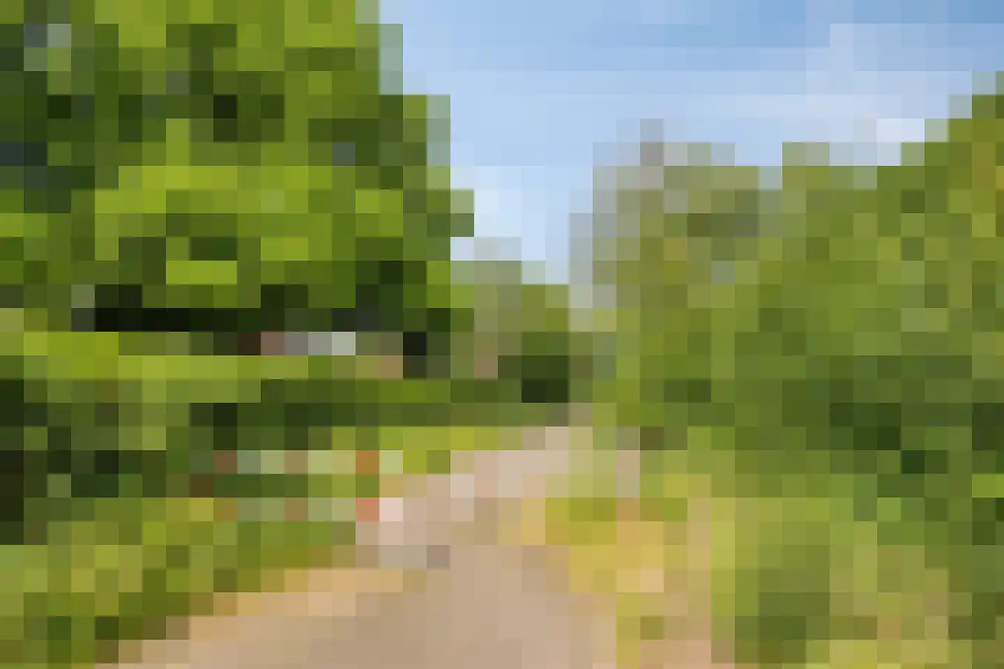 Zandvoortselaan 226 Bentveld thumbnail 32