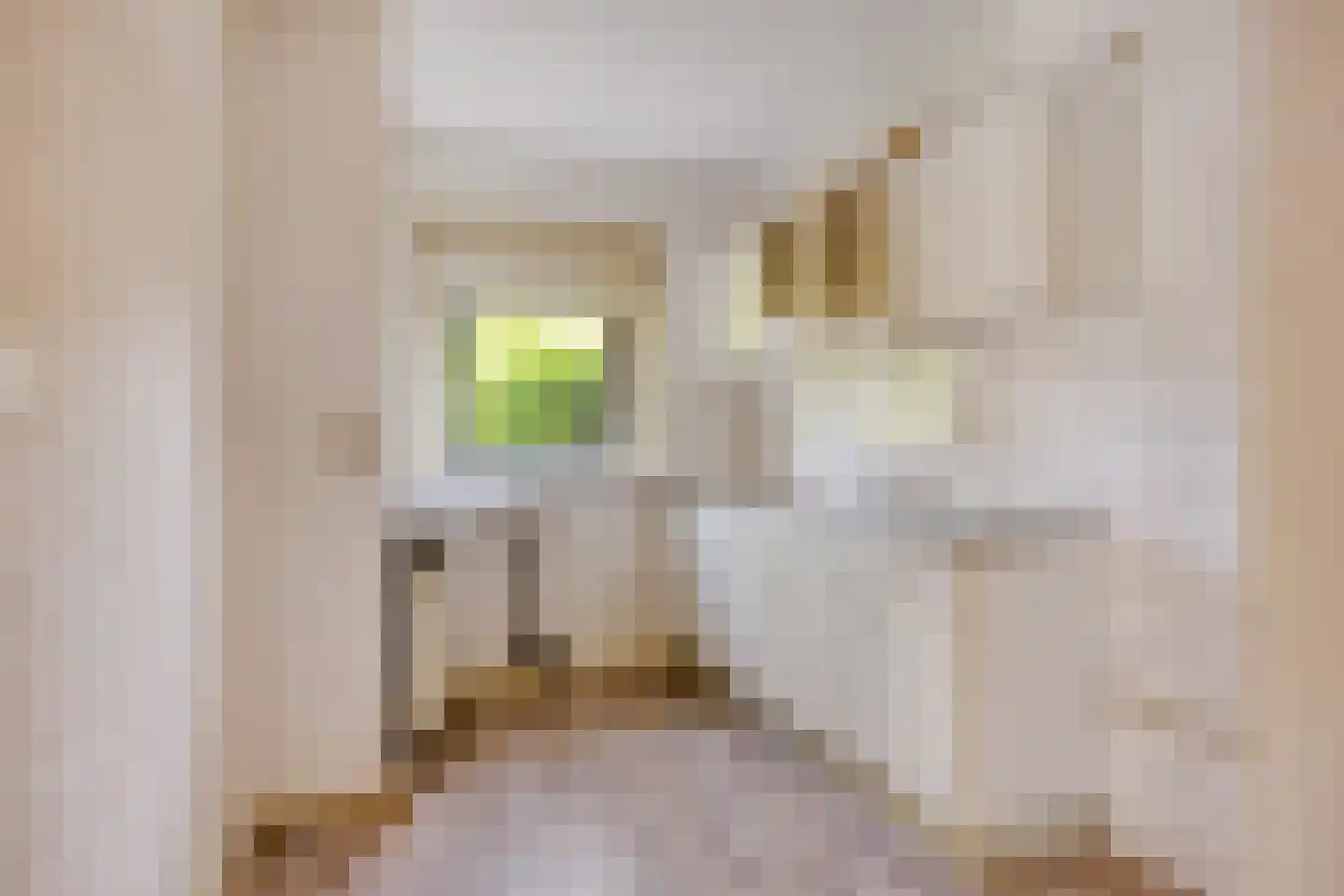 Zandvoortselaan 226 Bentveld thumbnail 7