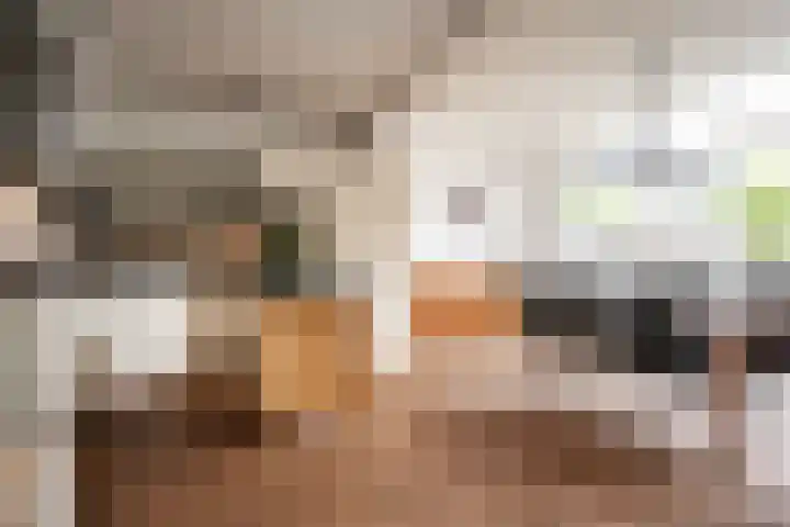 Zandvoortselaan 299 Bentveld thumbnail 13