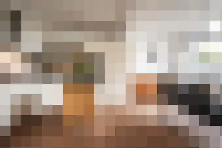 Zandvoortselaan 299 Bentveld thumbnail 14