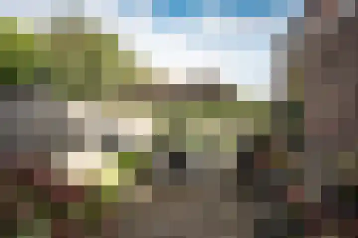 Zandvoortselaan 299 Bentveld thumbnail 17