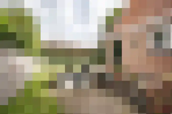 Zandvoortselaan 299 Bentveld thumbnail 18