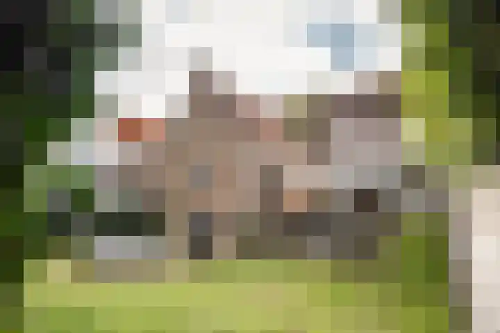 Zandvoortselaan 299 Bentveld thumbnail 20