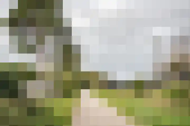 Zandvoortselaan 299 Bentveld thumbnail 22