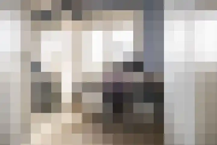 Zandvoortselaan 299 Bentveld thumbnail 23