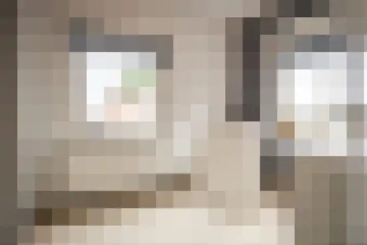 Zandvoortselaan 299 Bentveld thumbnail 25