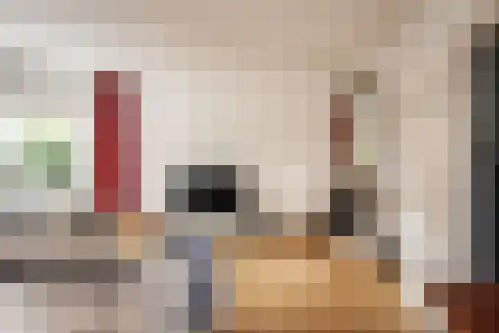 Zandvoortselaan 299 Bentveld thumbnail 4