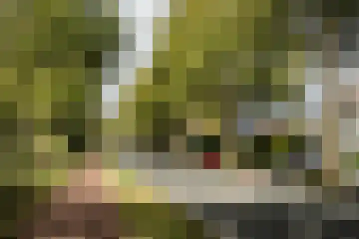 Zandvoortselaan 299 Bentveld thumbnail 40