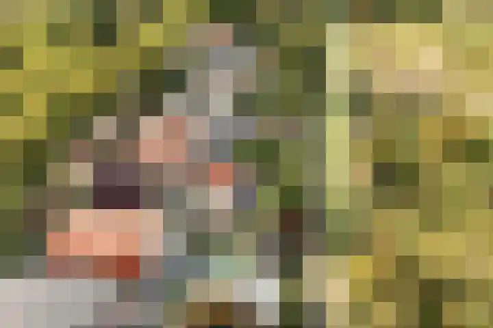 Zandvoortselaan 299 Bentveld thumbnail 42