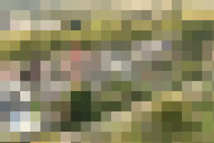 Zandvoortselaan 299 Bentveld thumbnail 43