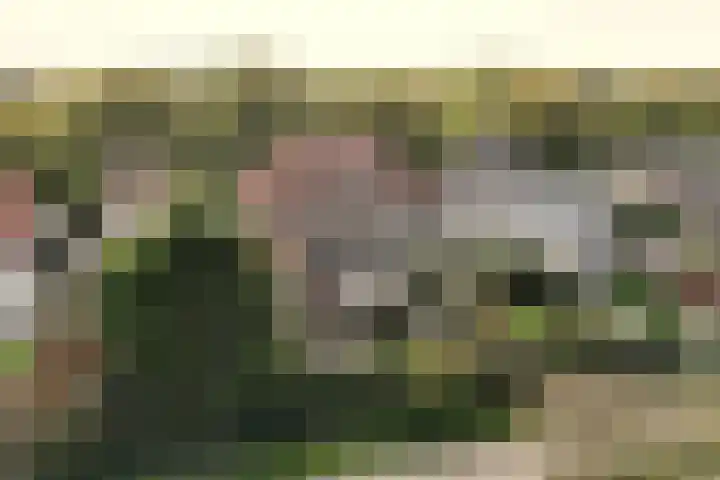 Zandvoortselaan 299 Bentveld thumbnail 44