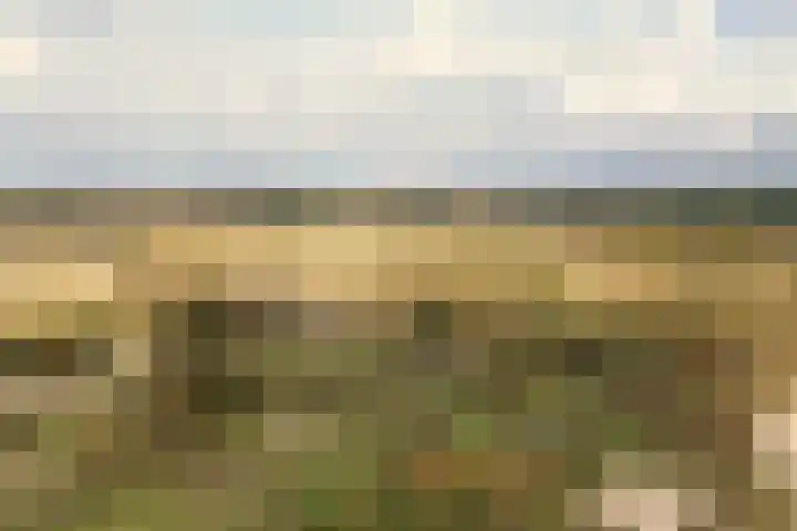 Zandvoortselaan 299 Bentveld thumbnail 45