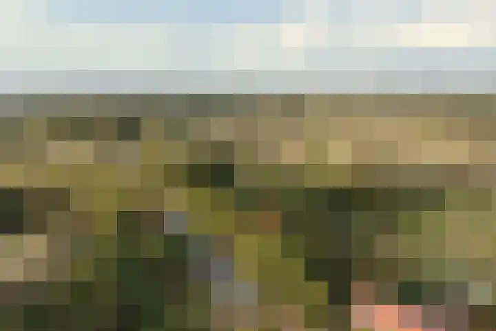 Zandvoortselaan 299 Bentveld thumbnail 47