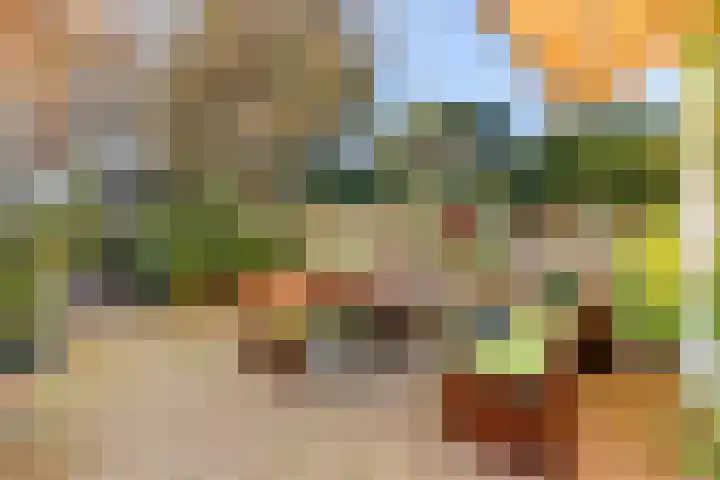 Zandvoortselaan 30 Zandvoort thumbnail 17