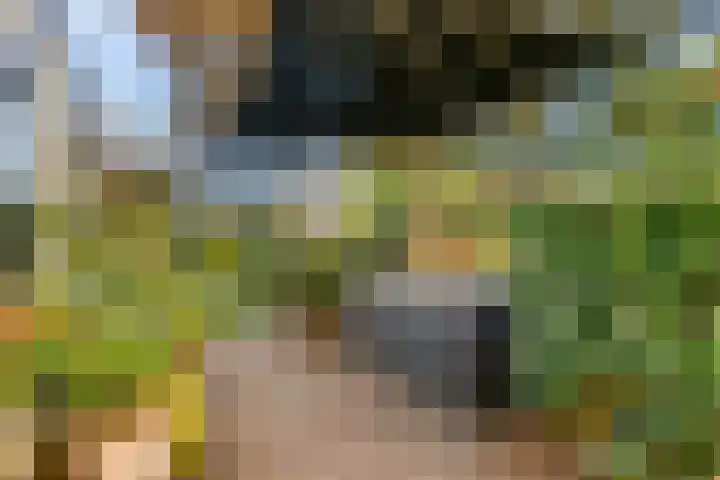 Zandvoortselaan 30 Zandvoort thumbnail 24