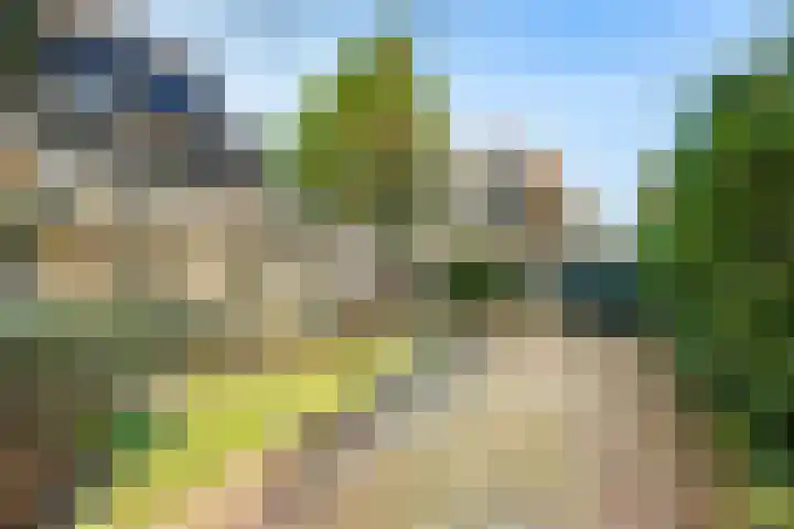 Zandvoortselaan 30 Zandvoort thumbnail 29