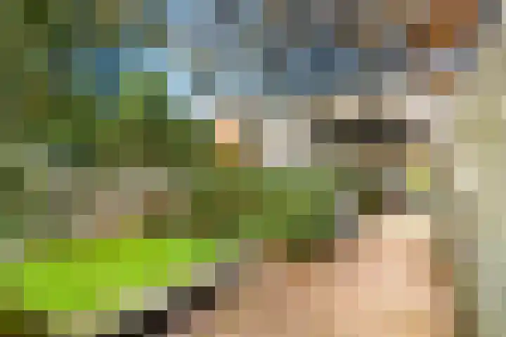 Zandvoortselaan 30 Zandvoort thumbnail 30