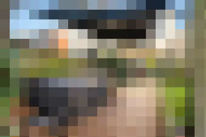 Zandvoortselaan 30 Zandvoort thumbnail 31