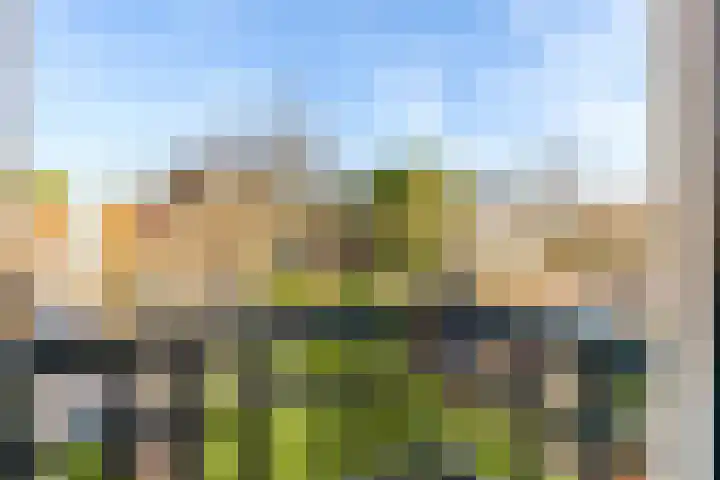 Zandvoortselaan 30 Zandvoort thumbnail 52