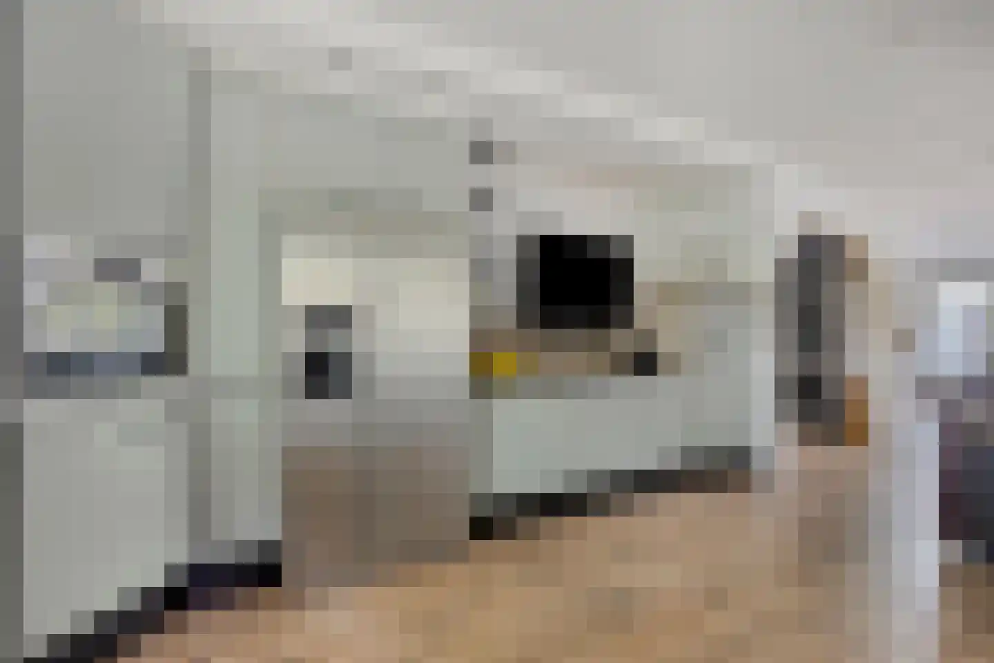 Zandvoortselaan 301 Bentveld thumbnail 17