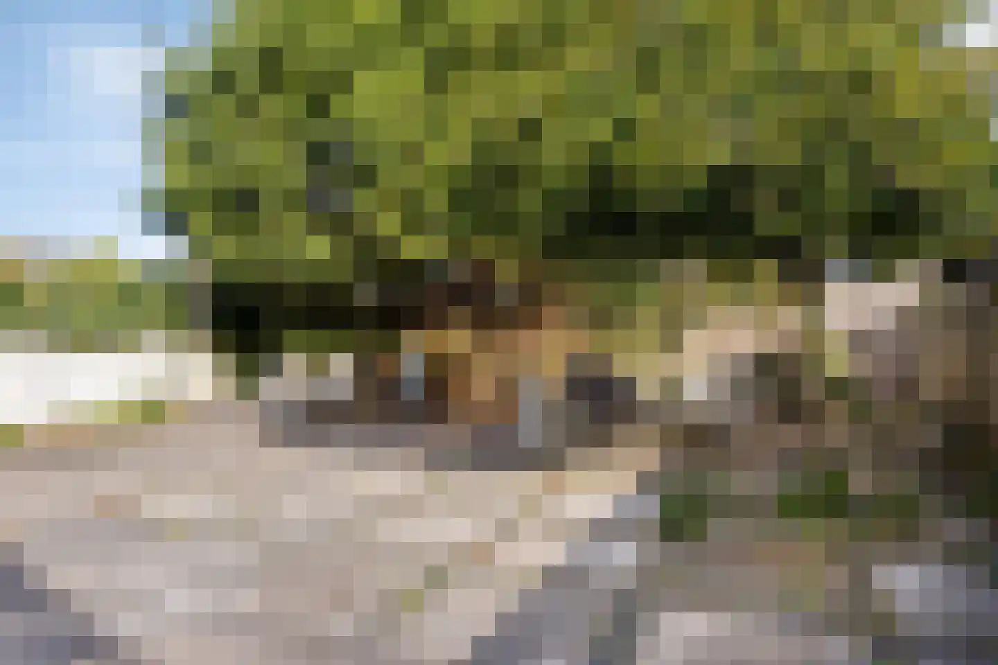 Zandvoortselaan 301 Bentveld thumbnail 19