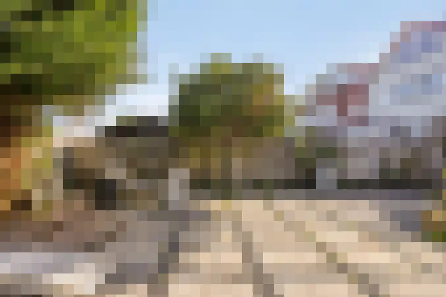 Zandvoortselaan 301 Bentveld thumbnail 20
