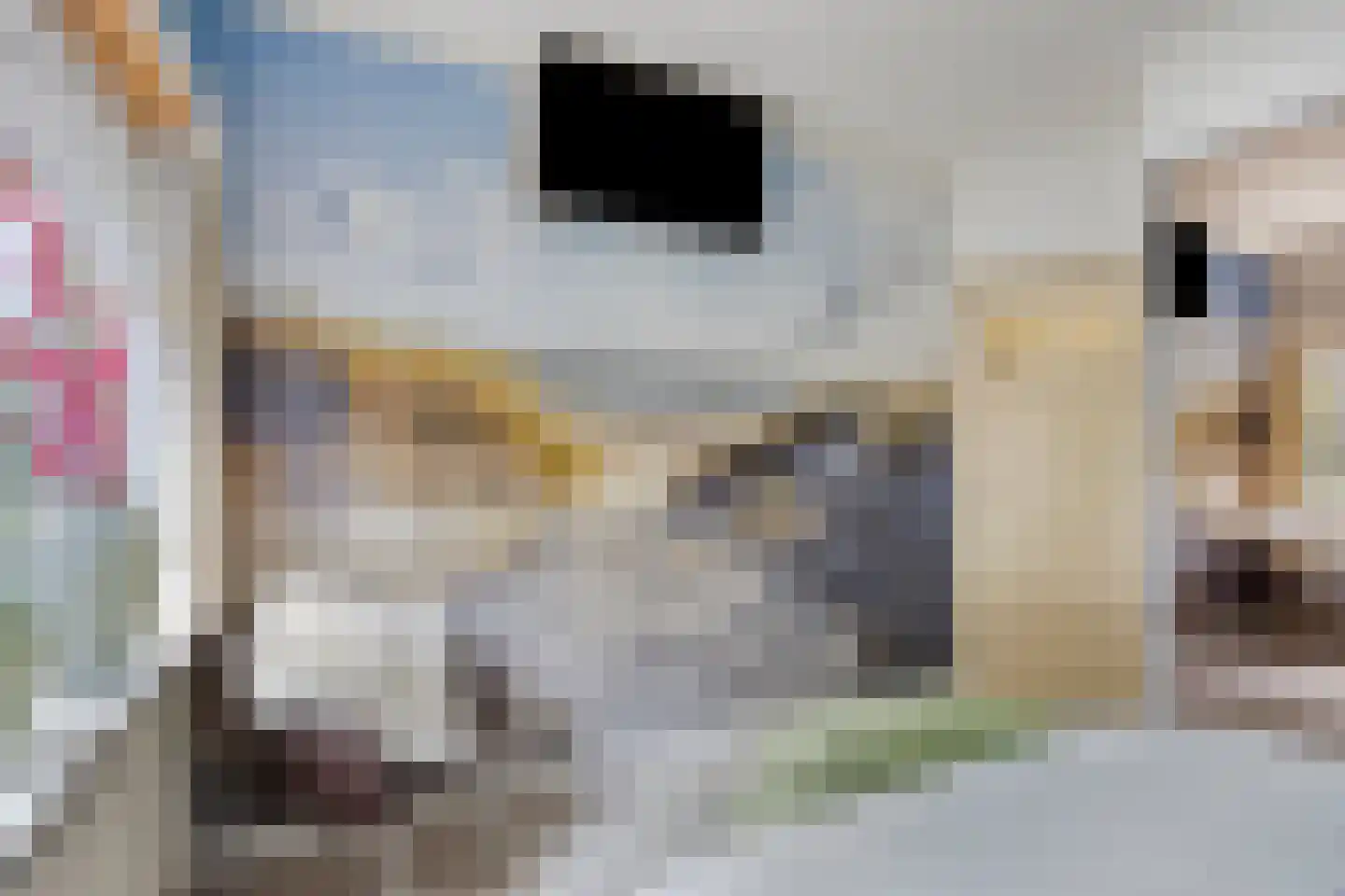 Zandvoortselaan 301 Bentveld thumbnail 30