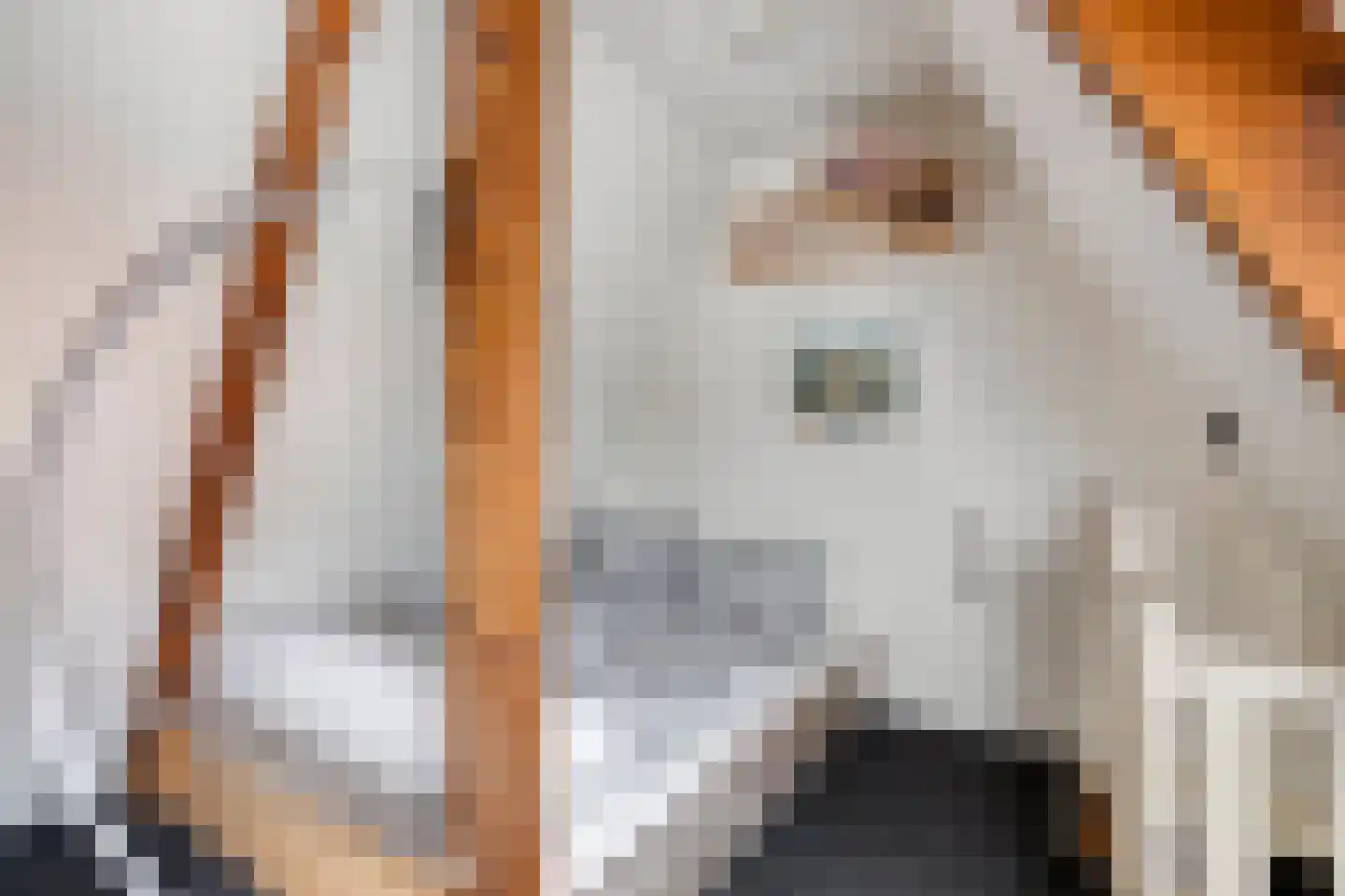 Zandvoortselaan 301 Bentveld thumbnail 33