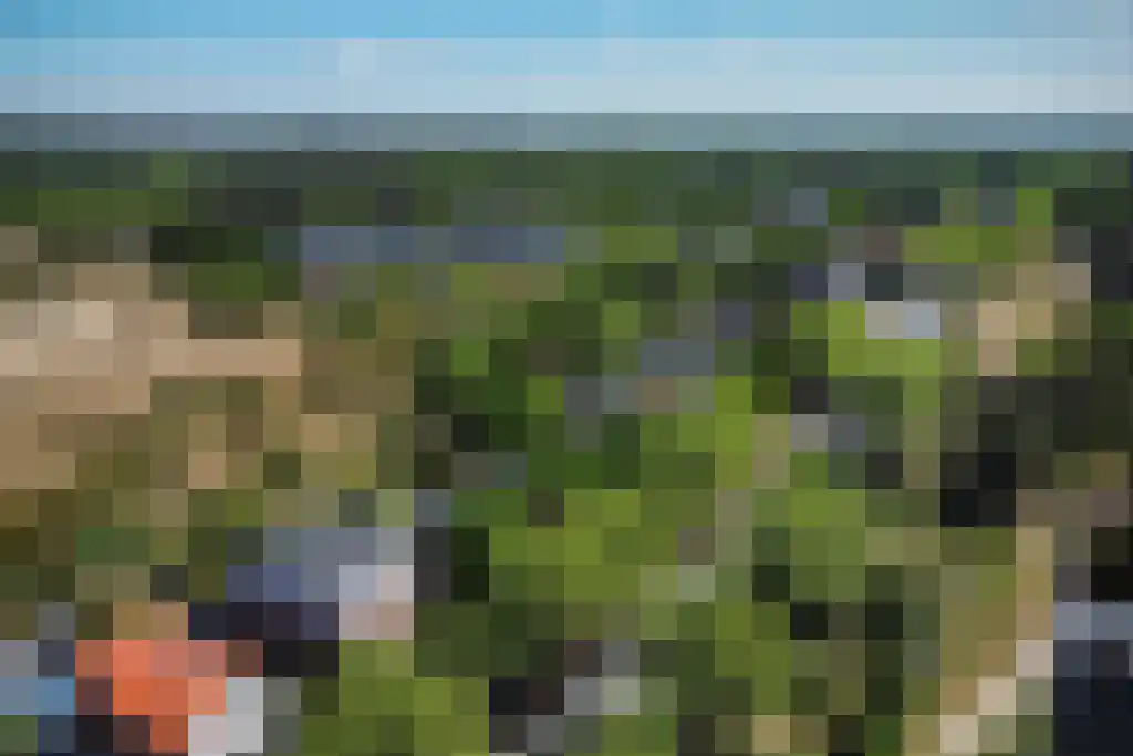 Zandvoortselaan 301 Bentveld thumbnail 39