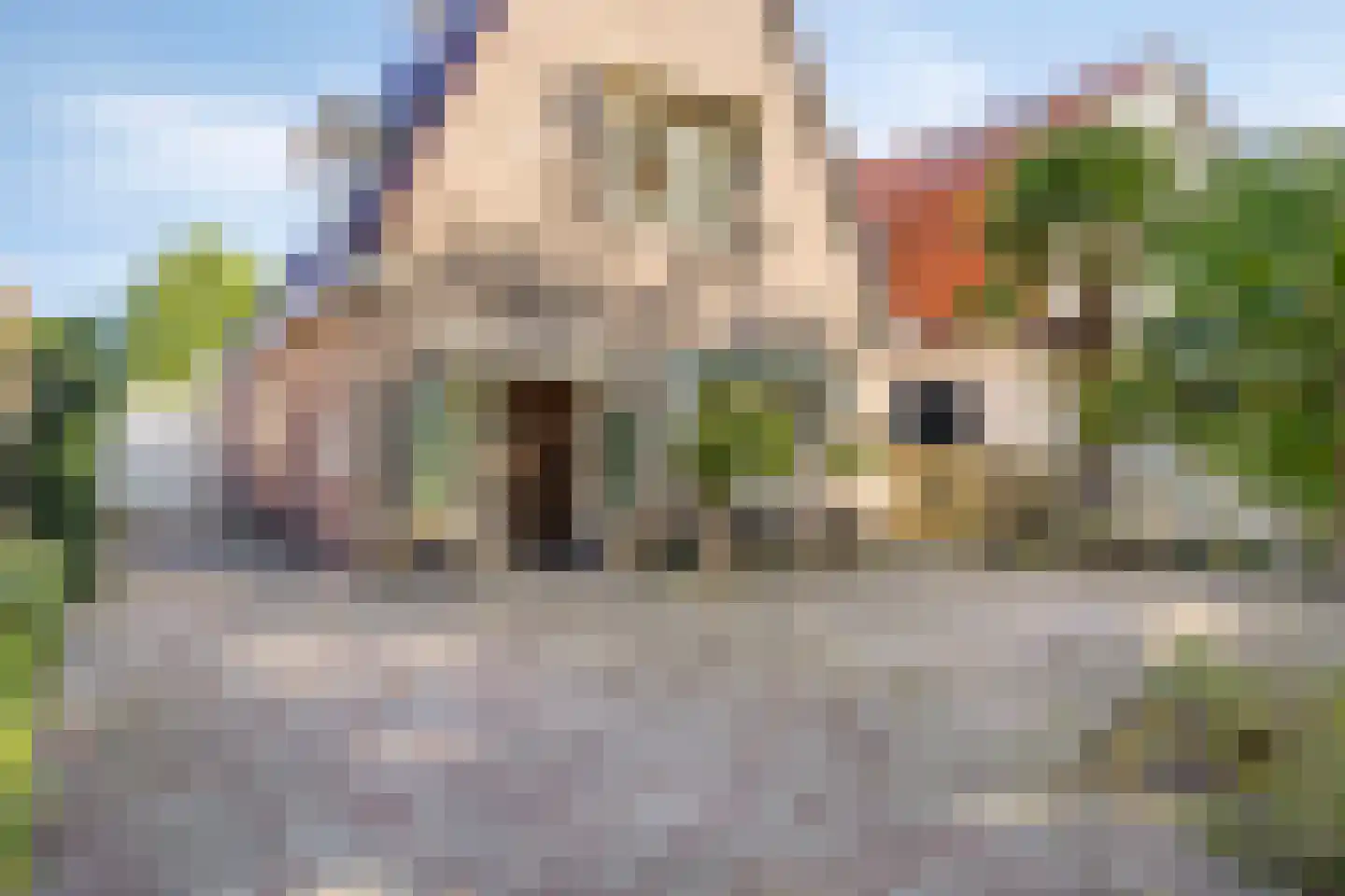 Zandvoortselaan 301 Bentveld thumbnail 40