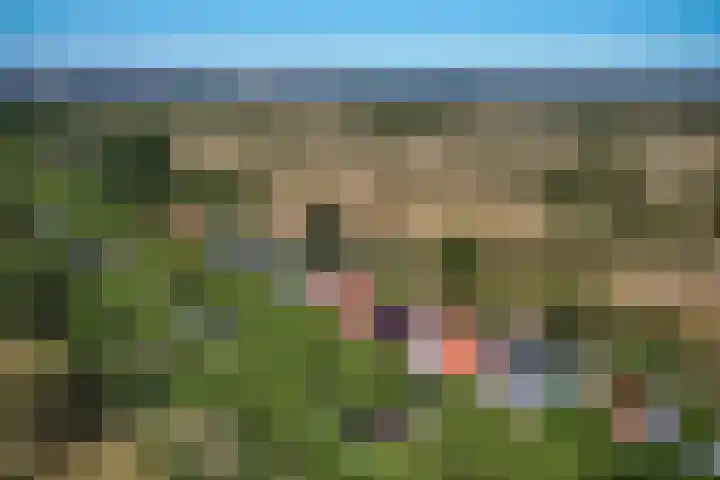 Zandvoortselaan 305 Bentveld