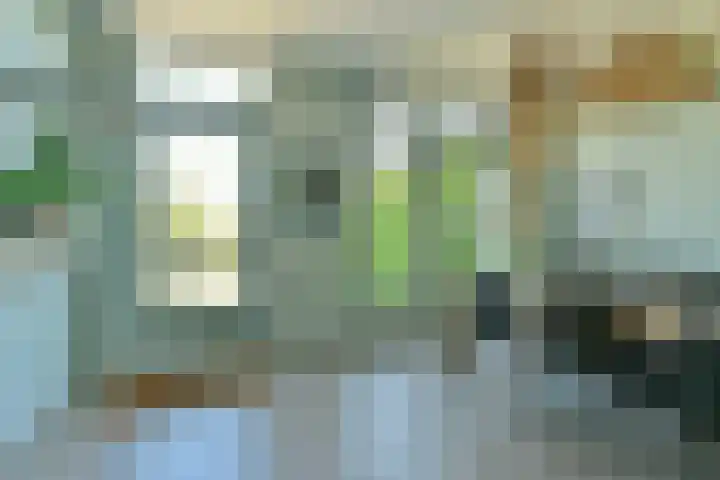 Zandvoortselaan 305 Bentveld thumbnail 11