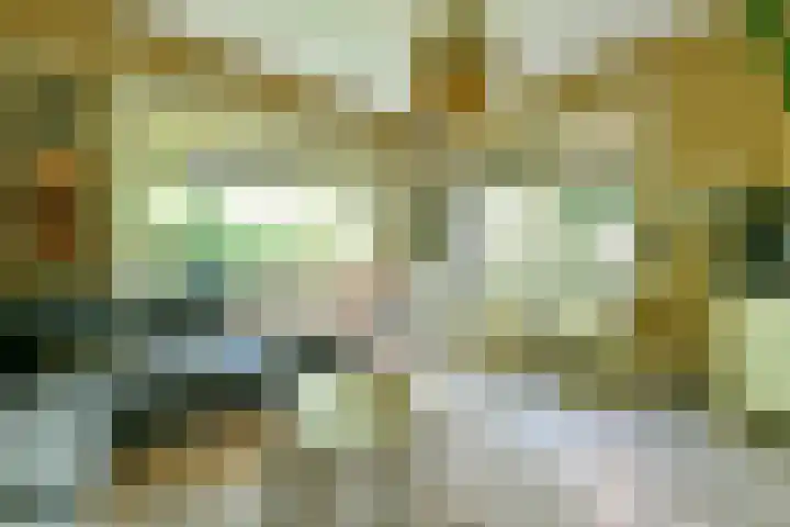 Zandvoortselaan 305 Bentveld thumbnail 13