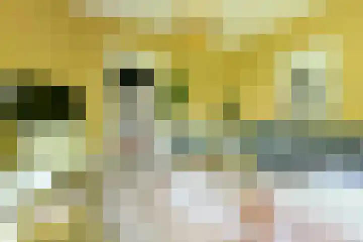 Zandvoortselaan 305 Bentveld thumbnail 14