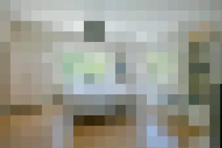 Zandvoortselaan 305 Bentveld thumbnail 17