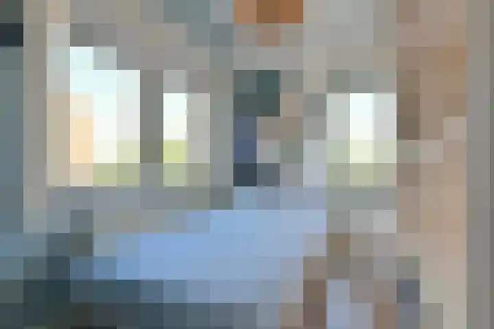 Zandvoortselaan 305 Bentveld thumbnail 18