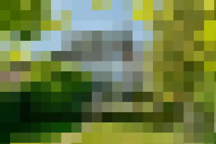 Zandvoortselaan 305 Bentveld thumbnail 22