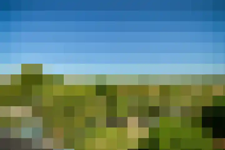 Zandvoortselaan 305 Bentveld thumbnail 23