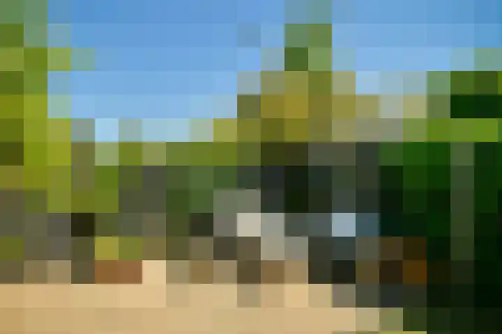Zandvoortselaan 305 Bentveld thumbnail 29