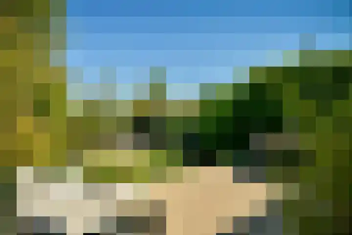 Zandvoortselaan 305 Bentveld thumbnail 30