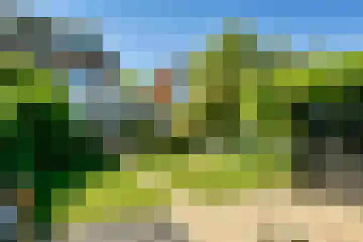 Zandvoortselaan 305 Bentveld thumbnail 31