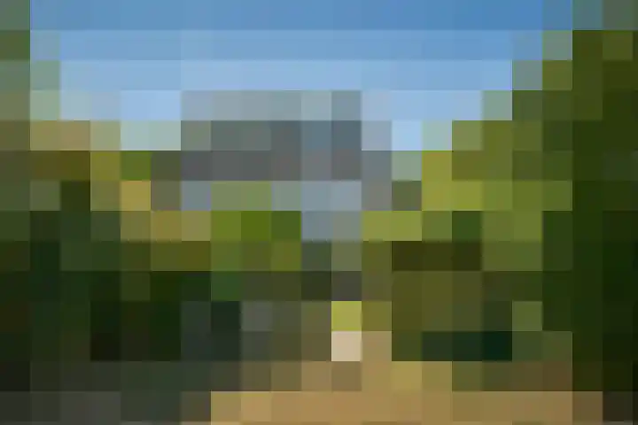 Zandvoortselaan 305 Bentveld thumbnail 32