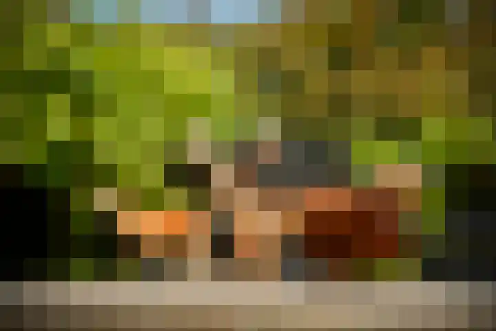 Zandvoortselaan 305 Bentveld thumbnail 33